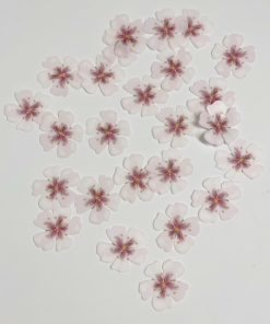 Alternative view of Flores de almendro de oblea