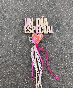 PIC «UN DIA ESPECIAL»