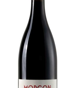 Julien Sunier Morgon