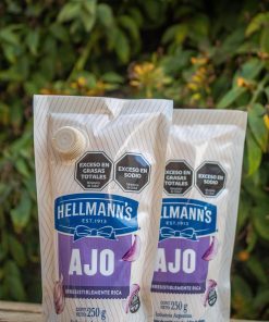 MAYONESA HELLMANNS CON AJO 250 GRS